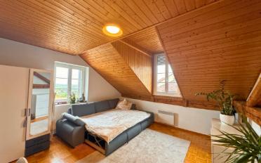 Wohnung 2.5 Zimmer - image - 1