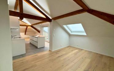 Attic 2.5 rooms - image - 7