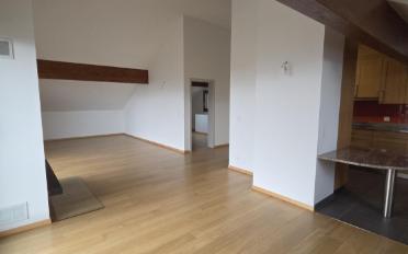Wohnung 7.5 Zimmer - image - 4