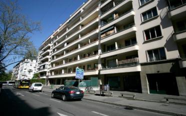 Wohnung 2.5 Zimmer - image - 1