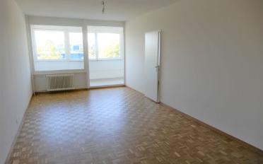 Wohnung 5 Zimmer - image - 2