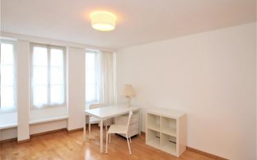Appartement 1.5 pièces - image - 2