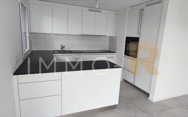 Terrace flat 4.5 rooms - image - 5