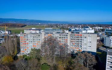 Appartement 3.5 pièces - image - 1