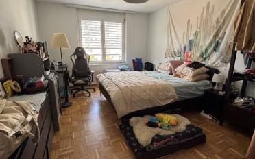 Wohnung 2.5 Zimmer - image - 3