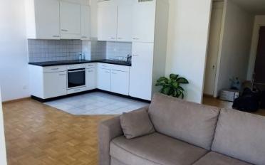 Appartement 1.5 pièces - image - 1