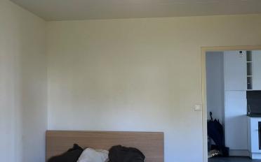 Appartement 2.5 pièces - image - 3