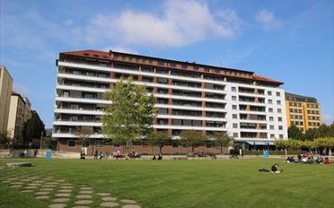 Studio 1 pièce - image - 1