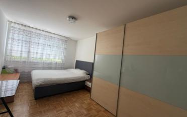 Wohnung 4.5 Zimmer - image - 3