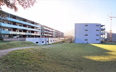 Wohnung 3.5 Zimmer - image - 1