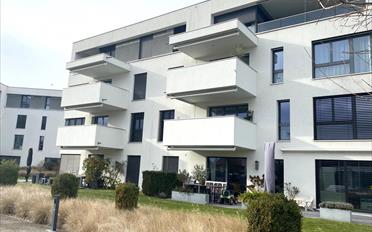 Wohnung 2.5 Zimmer - image - 1