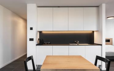 Furnished flat 1 room - image - 5