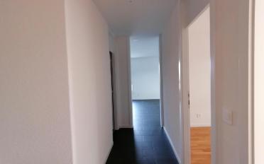 Appartement 5.5 pièces - image - 4