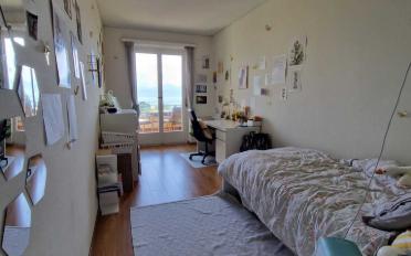 Single room 1 room - image - 2