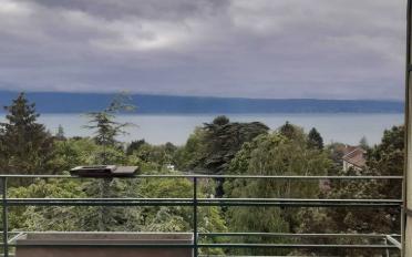 Chambre 1 pièce - image - 2