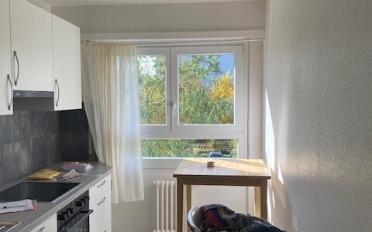 Wohnung 3 Zimmer - image - 2