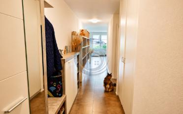 Wohnung 3.5 Zimmer - image - 12
