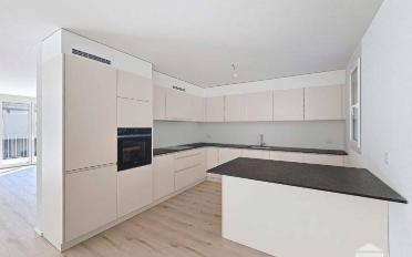 Doppeleinfamilienhaus 5.5 Zimmer - image - 4