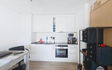 Apartment 1 room - image - 4