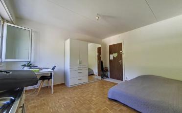 Appartement 1 pièce - image - 2
