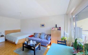 Apartment 1 room - image - 3