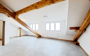Wohnung 2.5 Zimmer - image - 5