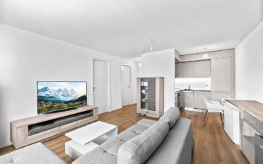 Wohnung 2.5 Zimmer - image - 1