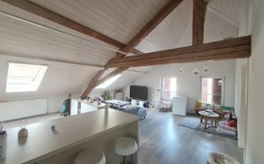 Wohnung 3.5 Zimmer - image - 1