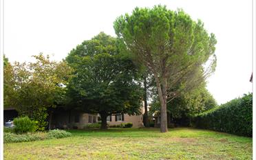 Single house 10 rooms - image - 11