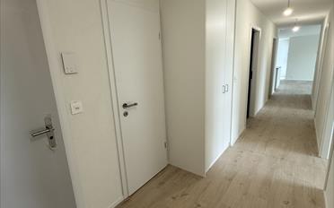 Apartment 4.5 rooms - image - 13