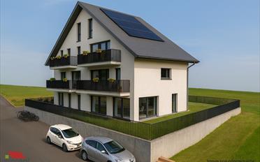 Wohnung 3.5 Zimmer - image - 4