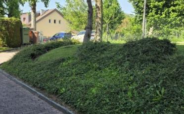 Wohnung 2.5 Zimmer - image - 12