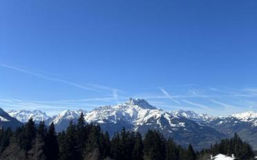 Wohnung 2 Zimmer - image - 6