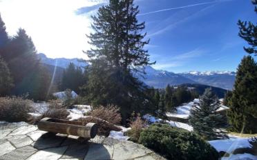 Chalet 5 rooms - image - 8