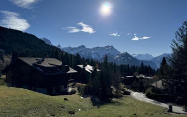 Chalet 8 Zimmer - image - 5