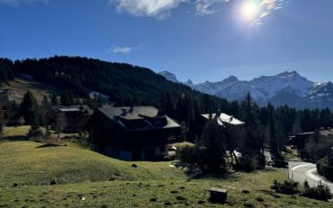 Chalet 8 Zimmer - image - 12