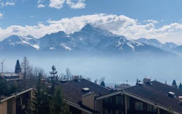 Apartment 4.5 rooms - image - 8