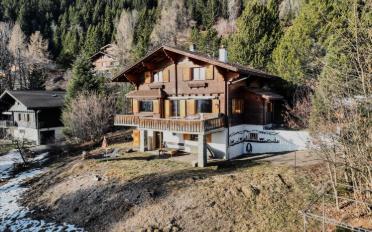 Chalet 4 Zimmer - image - 1
