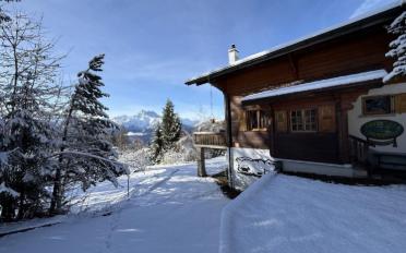 Chalet 4 Zimmer - image - 1