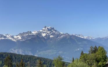 Wohnung 5 Zimmer - image - 3