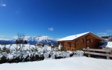 Chalet 6.5 pièces - image - 7