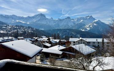 Chalet 11.5 Zimmer - image - 3