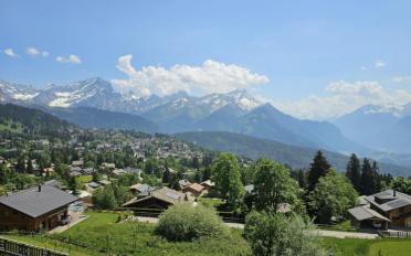 Chalet 7 Zimmer - image - 4