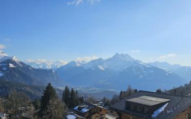 Chalet 7 Zimmer - image - 13