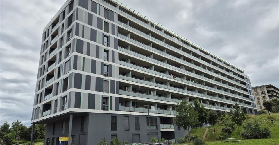Place de parc extérieur à louer à Meyrin