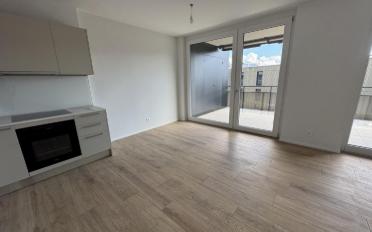 Wohnung 3.5 Zimmer - image - 1