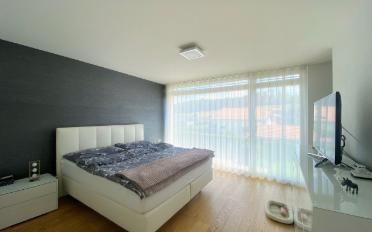 Einfamilienhaus 5.5 Zimmer - image - 4