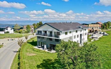 Wohnung 3.5 Zimmer - image - 1