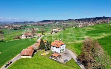 Villa 12.5 Zimmer - image - 1