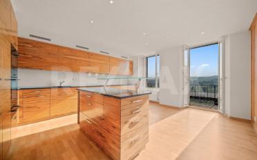 Maison contiguë 7.5 pièces - image - 5